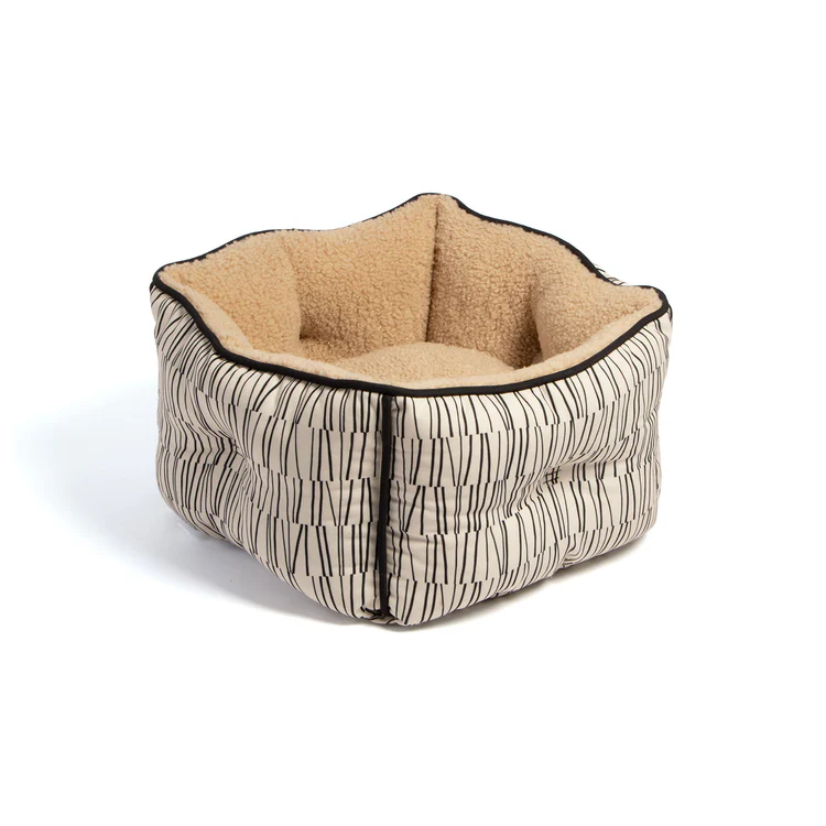 white building on a sunny day